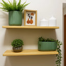Kit Prateleira de Madeira com Suporte Invisível