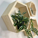 Kit 3 Nichos Colmeia de Pinus – Hexagonal