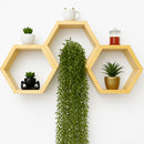 Kit 3 Nichos Colmeia de Pinus – Hexagonal