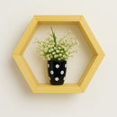 Kit 3 Nichos Colmeia de Pinus – Hexagonal